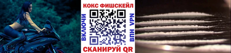КОКАИН Fish Scale  Купить  Котово 
