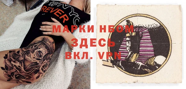 ПСИЛОЦИБИНОВЫЕ ГРИБЫ Баксан